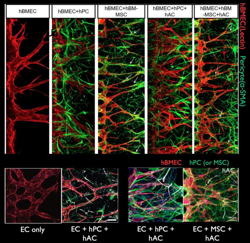 c4820bb1-7749-4a0e-91e1-e846415d1bd6 content-image