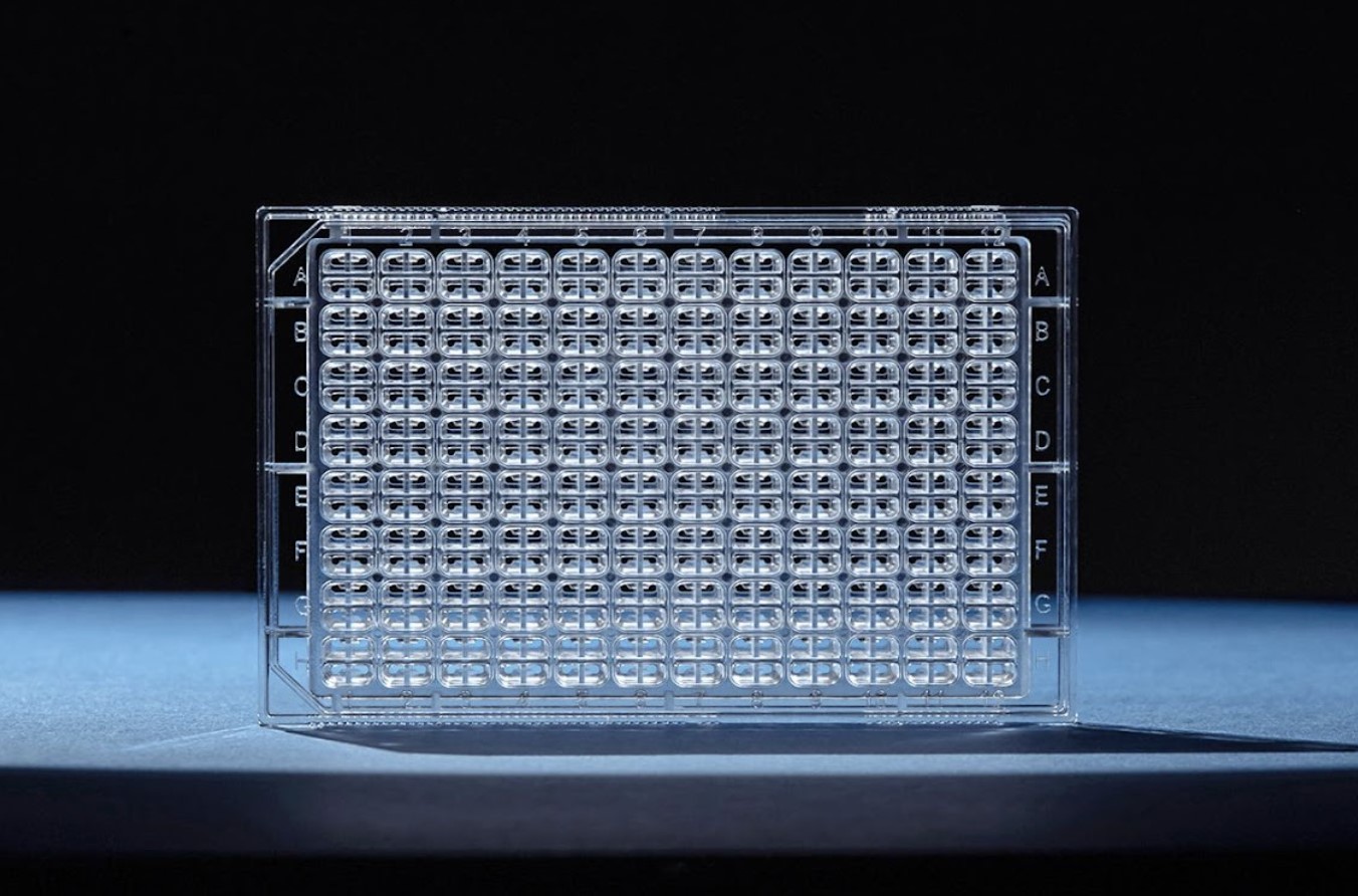 eef66353be82bfa3f13bb7a994a16ab0fdb41f46 content-image