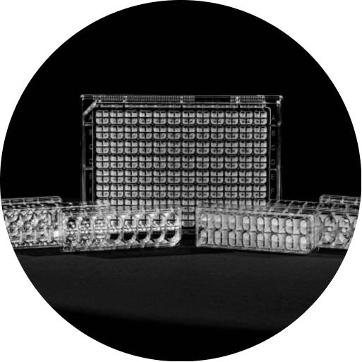 hts-mask-img content-image